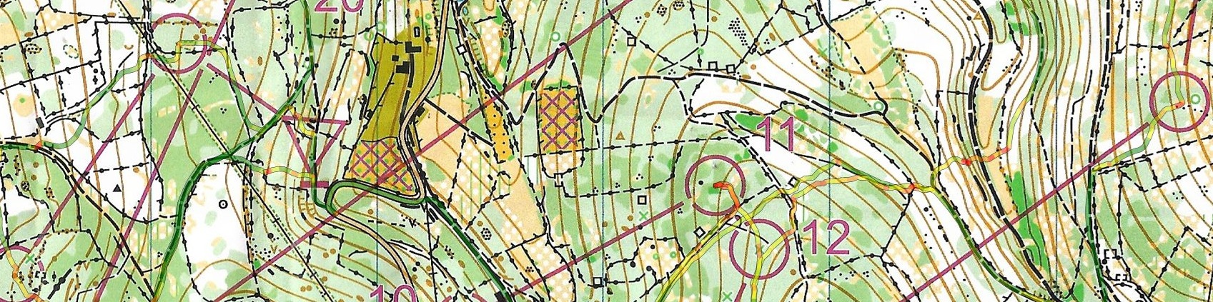 Championnat de Ligue Occitanie LD