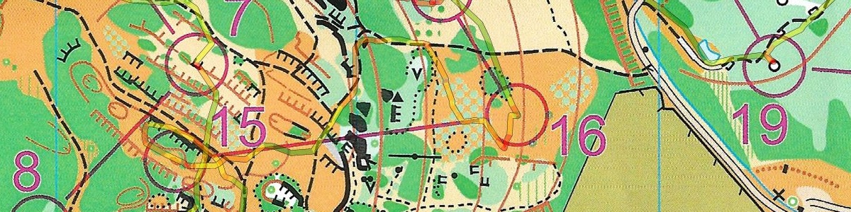 CO Départementale Sprint