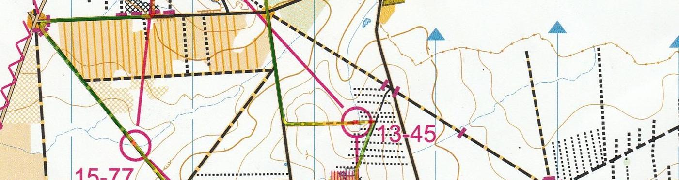 Nationale O'VTT LD (2ème partie)