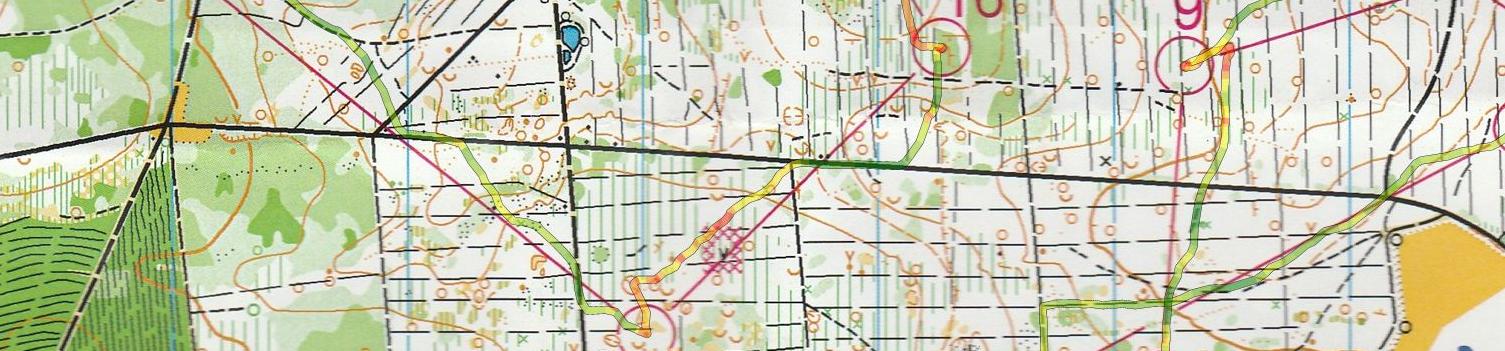 Championnat de Zone Sud-Ouest LD