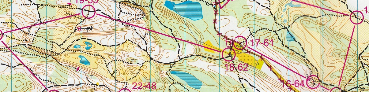 Championnat de France VTT'O LD 2/2