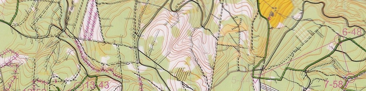 Championnat de France VTT'O MD