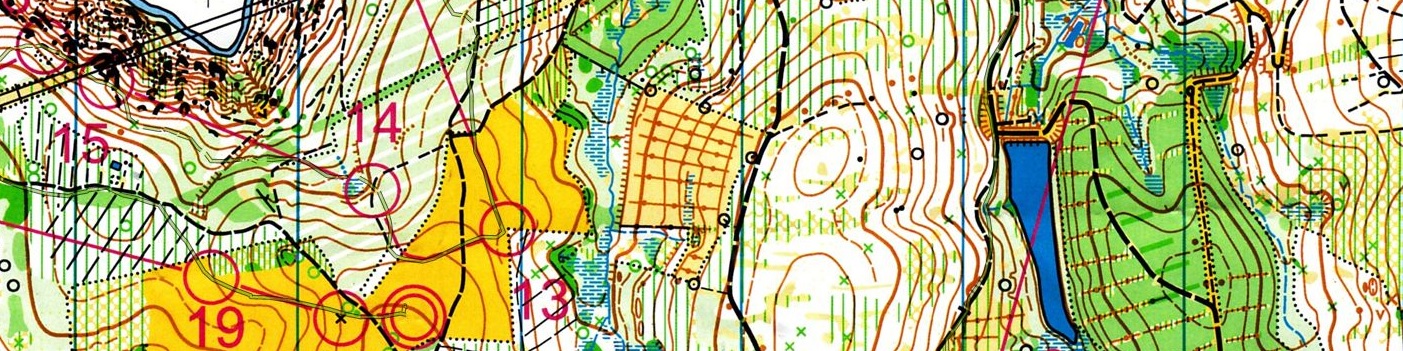 Championnat de France LD