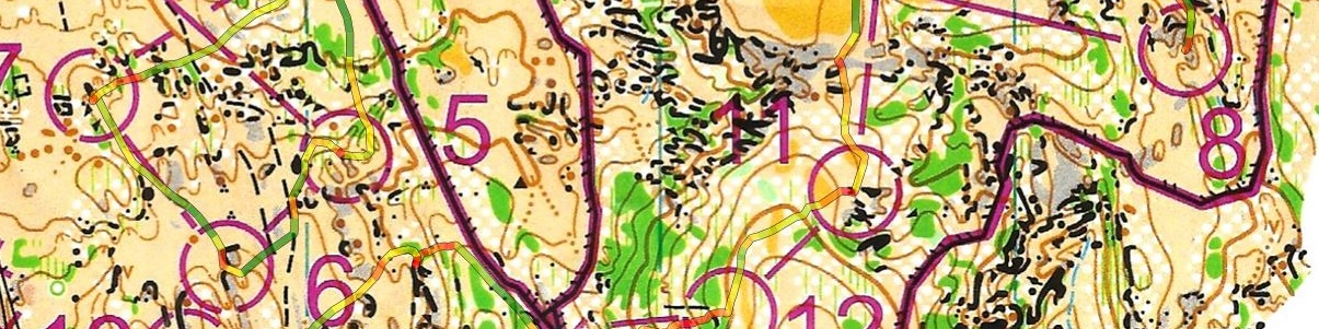 Championnat de France de Nuit