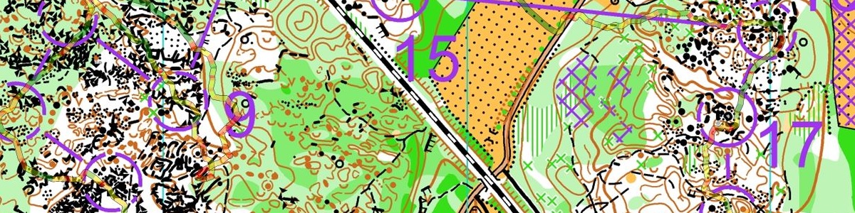 Entraînement Forêt enchantée