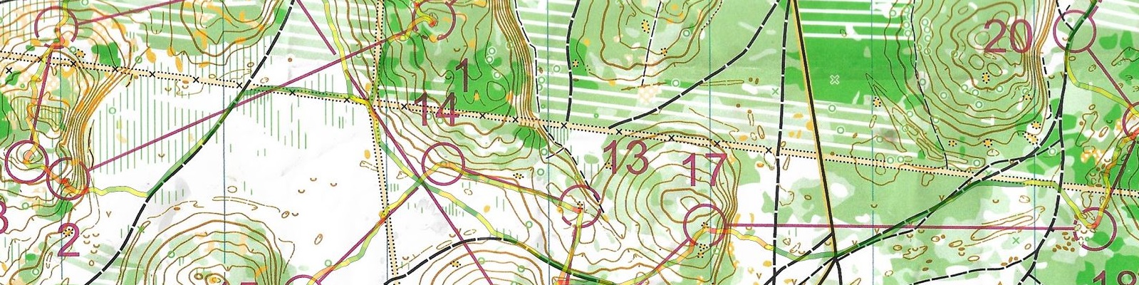 Championnat de Ligue LD