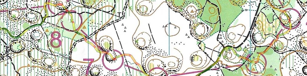 Championnat de France de Relais